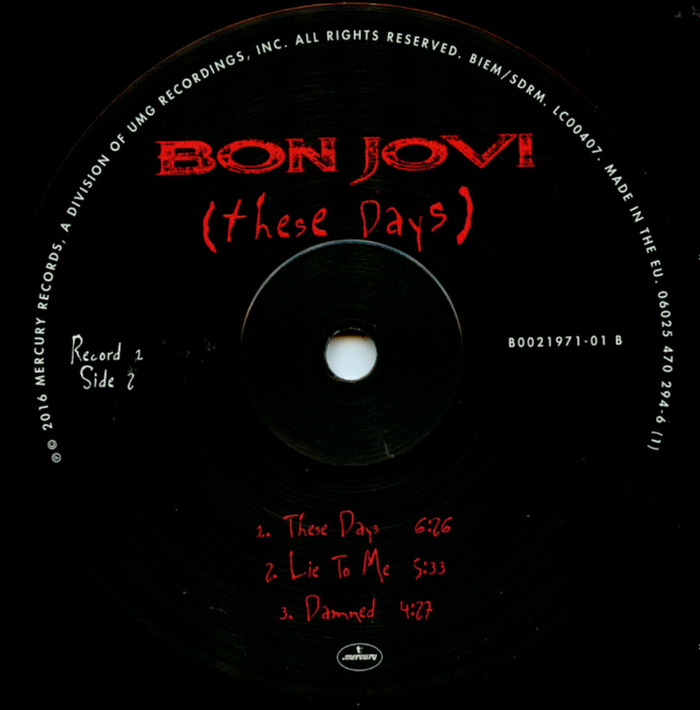 Bon Jovi / These Days (2LP)