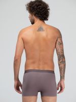 Мужские трусы-боксеры из вискозного полотна (Размер: XXL) (Цвет: коричневый)