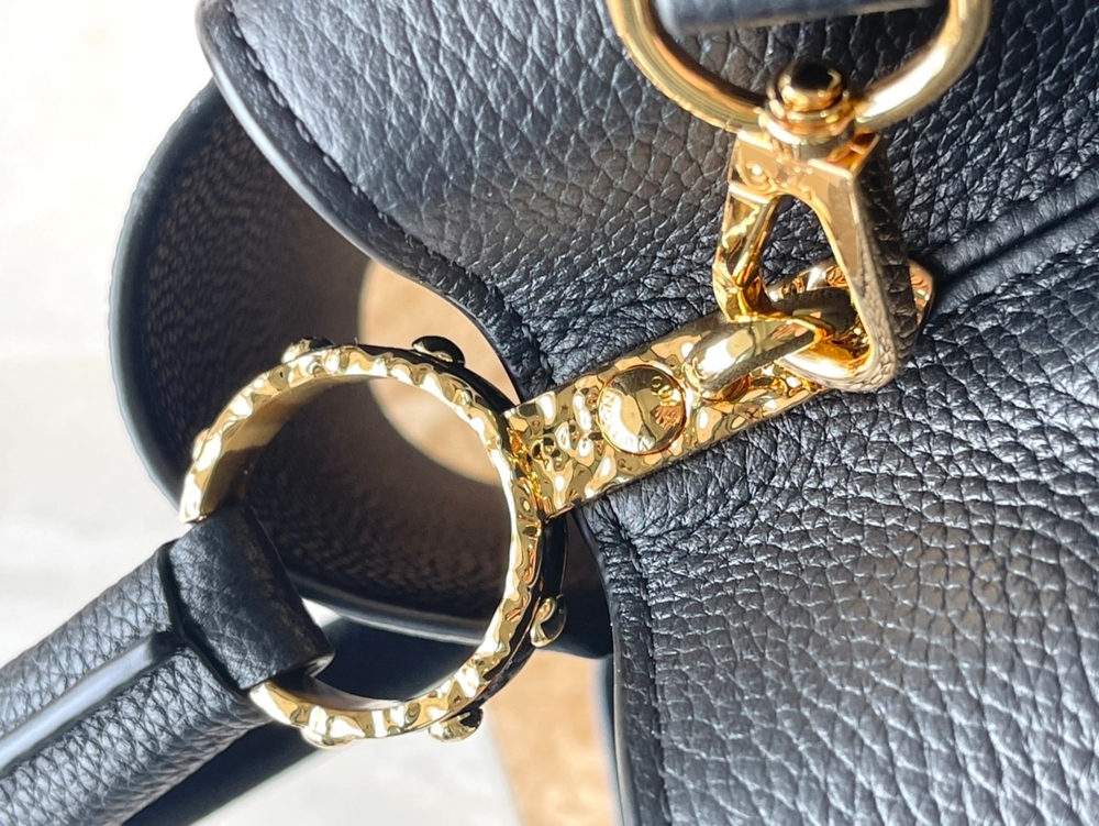 Louis Vuitton Capucines East West MM