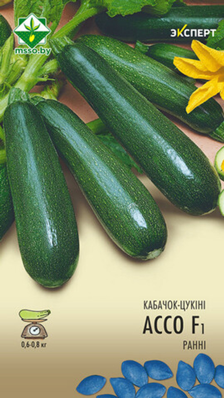 Кабачок "Ассо F1" 6шт, Нидерланды.