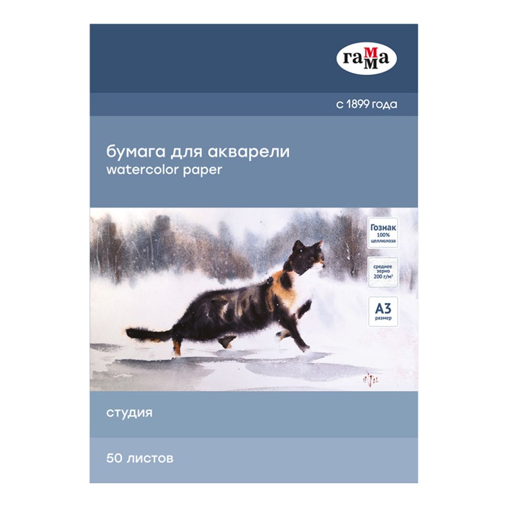 Папка для акварели А3, 50л, 200гр/м, Гамма Студия, среднее зерно
