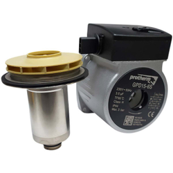 Двигатель насоса тип Grundfos, DPR 15-6 на Protherm Lynx, Ягуар, Леопард 0020119604
