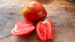 Мои лучшие семена томатов: сливки и бифы