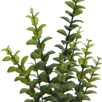 Цветок искусственный в горшке «Крассула» 35см