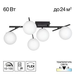 Citilux DORSY CL223152 LED Люстра поворотная Чёрная