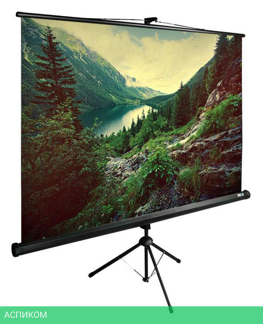Проекционный экран Cactus TriExpert черный (CS-PSTE-220X220-BK)