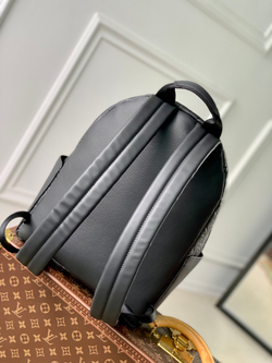 Louis Vuitton Discovery Backpack