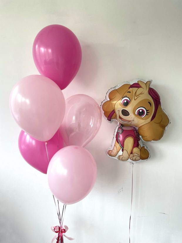 Воздушные шары №2279