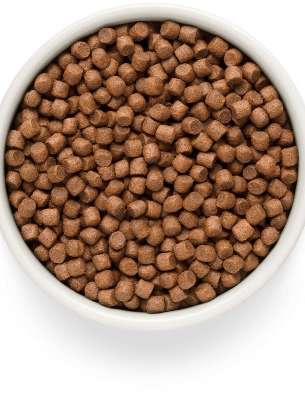 Grandorf Fresh Dog Potato корм сухой беззерновой для щенков ягнёнок,батат