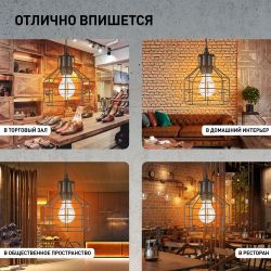 Светильник подвесной (подвес) ЭРА PL9 BK металл, E27, max 60W, высота плафона 230мм, подвеса 800мм, черный