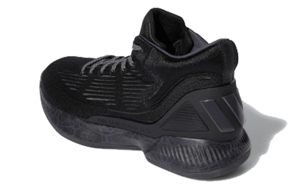 Кроссовки Adidas D Rose 10