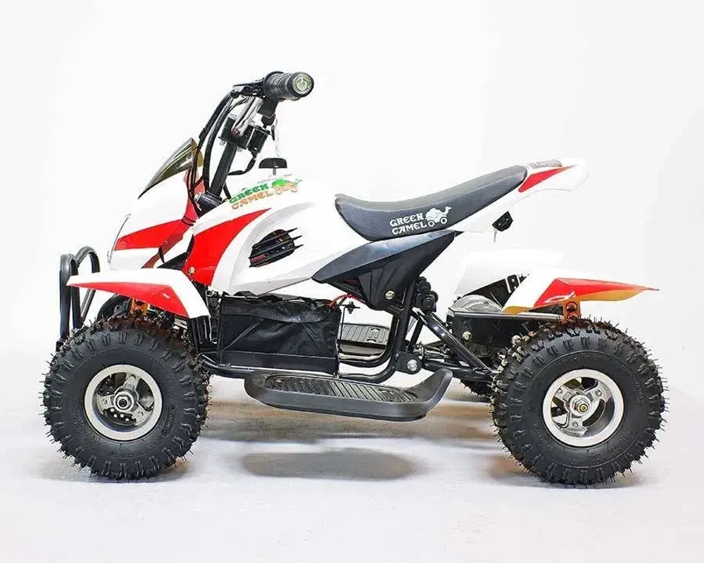 Электроквадроцикл Green Camel Гоби K22 (36V 500W R4 Цепь)