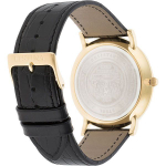 Мужские наручные часы Festina F16478/2