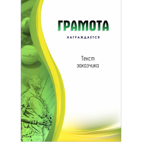 PNDiploma-038 с текстом