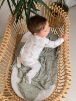 Комбинезон на кнопках "Зайки с птичками"