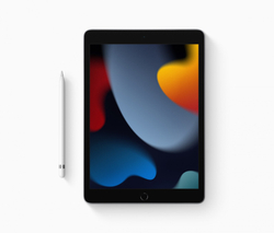 iPad 10.2" WiFi+Cellular 256GB Space Gray (2021)