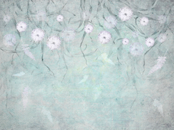 Коллекция SERENE