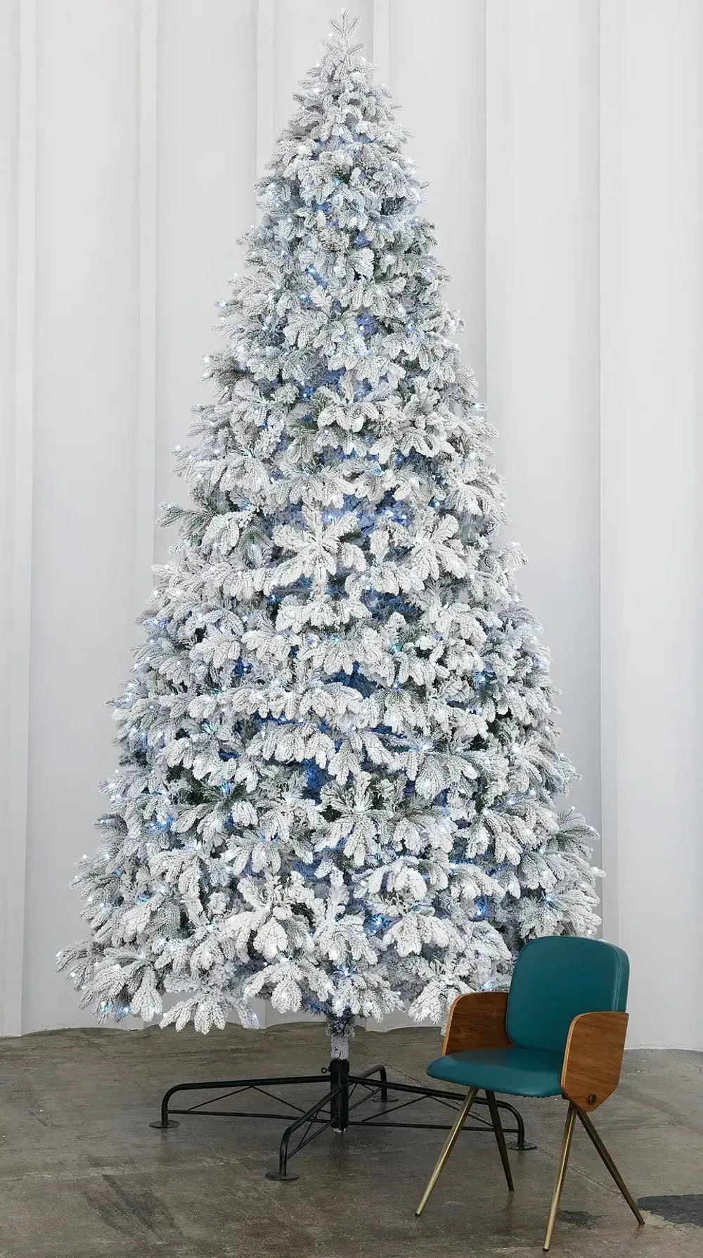 заснеженная ель "Камчатская" высокая