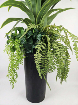 Композиция Интерьерная с драценой королевской в высоком кашпо