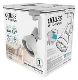 Светильник на штанге Gauss TR TR014