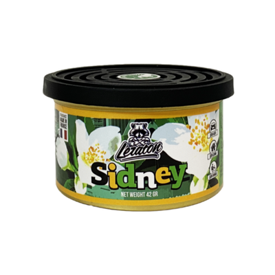 Leraton Ароматизатор для автомобиля в банке Sidney (Jasmine/Жасмин)