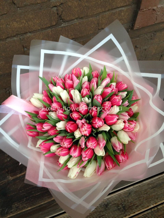 101 тюльпан 78