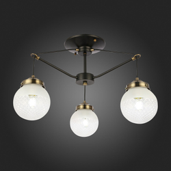 Светильник потолочный Evoluce Stricce SLE110302-03