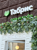 Озеленение входной группы искусственными растениями магазина "Табрис"  г.Краснодар