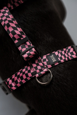 Шлейка Мой 2007-й, наличие