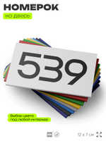 Номер на дверь 539, табличка на дверь для офиса, квартиры, кабинета, аудитории, склада, белая 120х70 мм, Айдентика Технолоджи