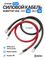 Силовой кабель 10 мм от Инвертора до АКБ под болт М8/М8 1000мм, YASHEL Technologies Силовой кабель 10 мм от Инвертора до АКБ под болт М8/М8 1000мм, фото №2748857889