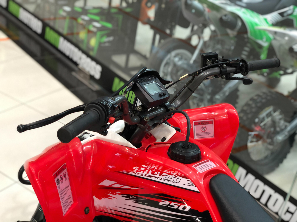 MOTOLAND ATV 250S (2021)