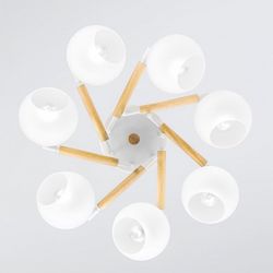 Потолочная люстра Citilux Tika CL133170