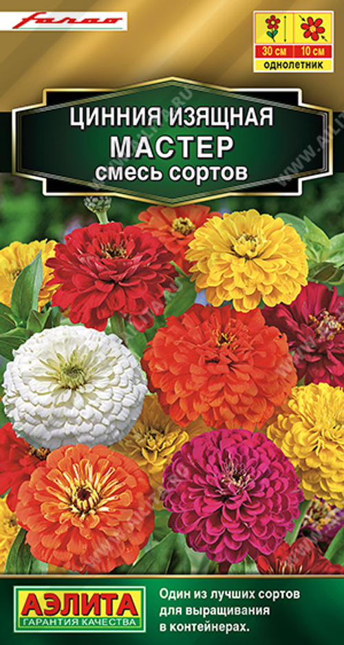 Цинния изящная Мастер, смесь сортов