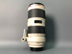 Canon EF 70-200mm 2.8L IS II USM