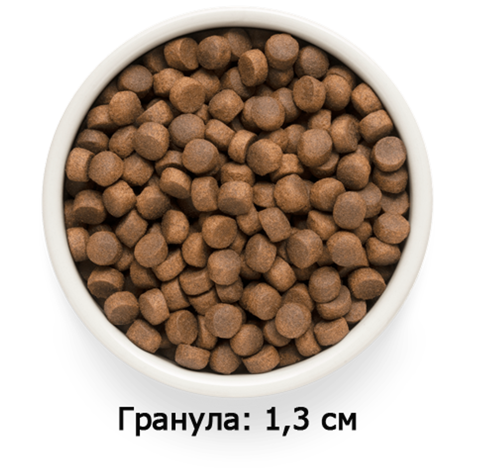 GRANDORF FRESH Lamb & Potato Large Adult - ягненок & батат для крупных кошек от 1 года (Биоразлагаемая упаковка)