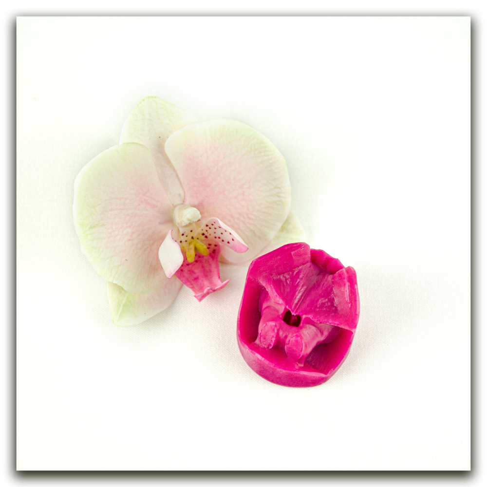 Орхидея фаленопсис M (+боковые лепестки размера S)