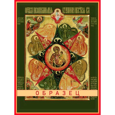 Неопалимая купина икона Божией Матери БМ-41 (бм/Н/5/2)