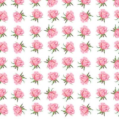 розочки на белом фоне