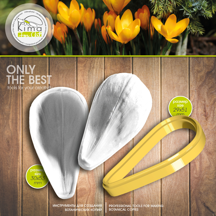 Крокус лепесток средний