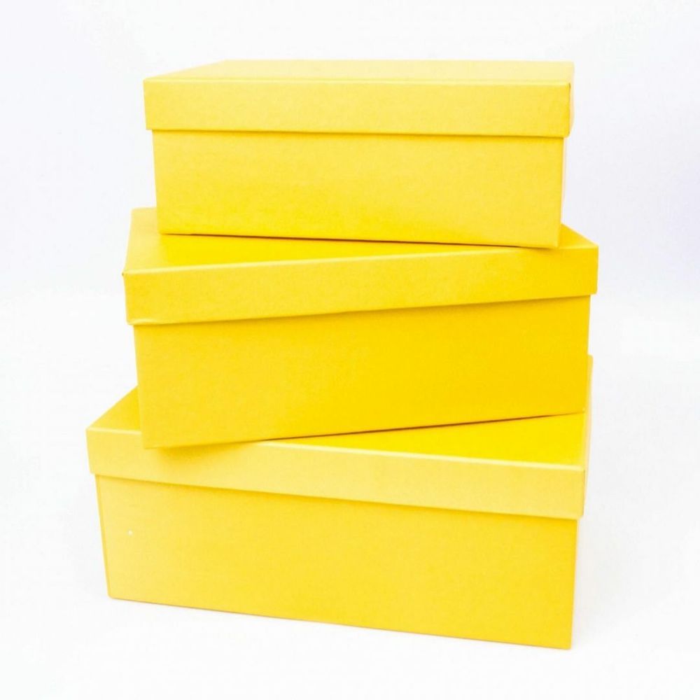 Коробка ПРЯМОУГОЛЬНАЯ ЛИМОН 23.5*15*9.2