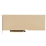 Видеокарта nVidia Tesla A10 (900-2G133-0020-000)