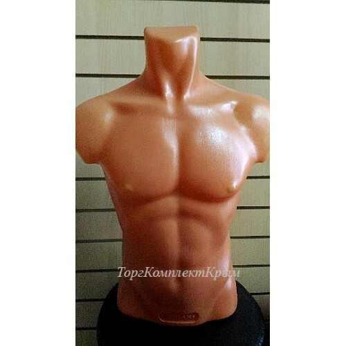 Мужской торс