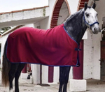 Одежда для конного спорта