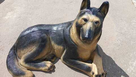 Овчарка большая (F01226)