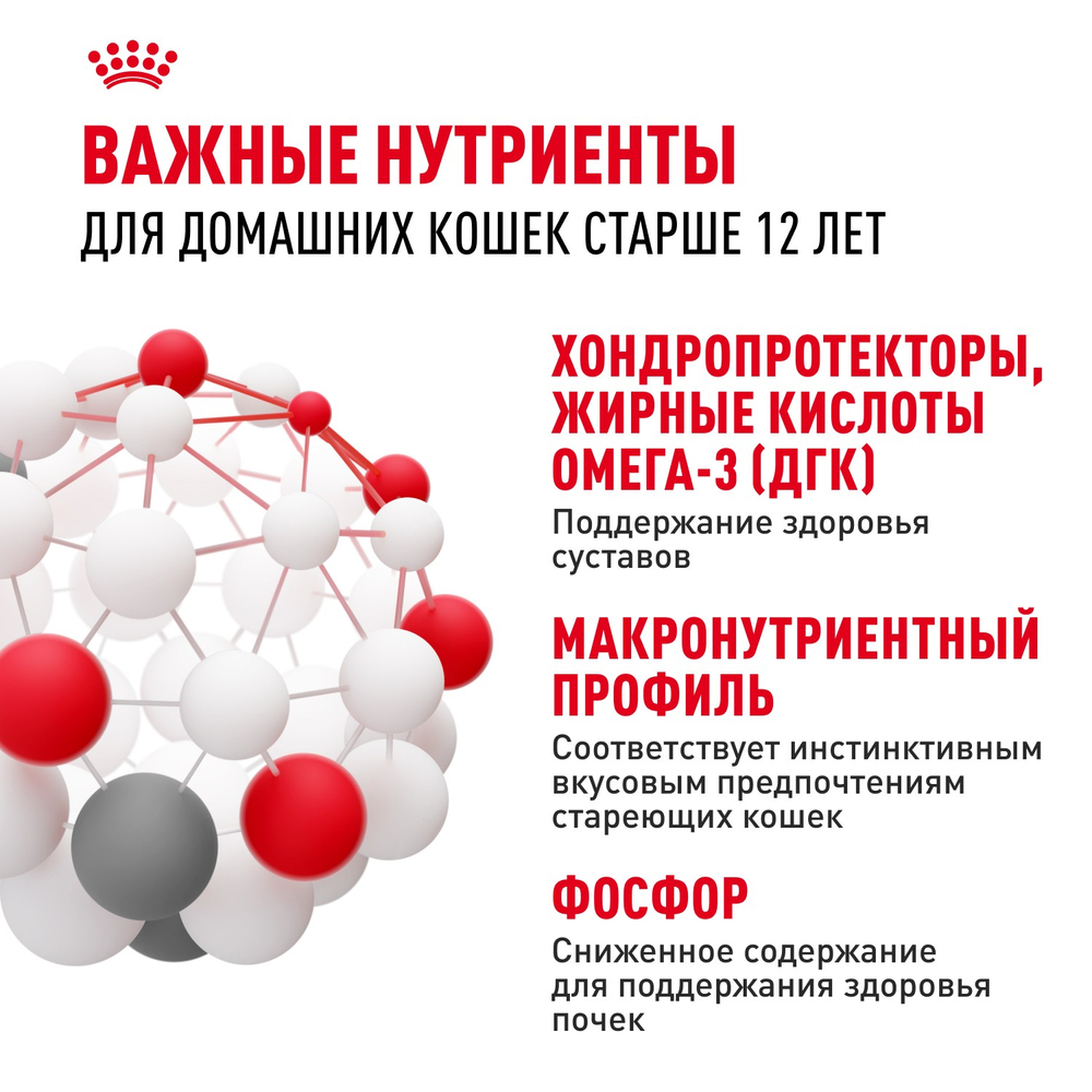 Royal Canin Ageing 12+ Эйджинг Корм влажный для взрослых кошек в возрасте старше 12 лет желе 85г