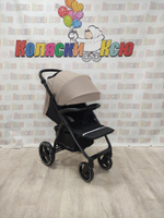 Коляска прогулочная Rant Basic Alpine Beige 2025