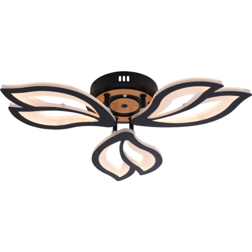 Светильник потолочный светодиодный Rivoli Lana 6195-703 LED 3000-6250К 60 Вт с пультом | Интерьерные светодиодные светильники