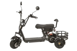 Электроскутер GT Citycoco X3 PRO