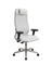 SynchroSit 10 L1-115D - X2+Extra /Um00/Wm12/D13P(M24.B22.G18.W02)
